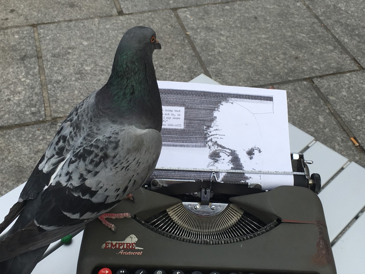 French pidgeon examines progress